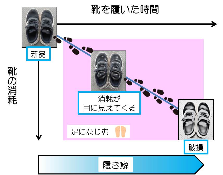 獣医師監修 犬が前足 手 を舐めるのはなぜ？８つの理由と対処法 - petan