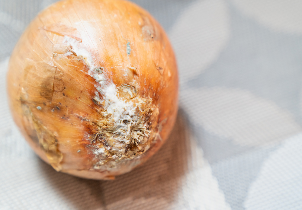 楽天市場農薬・カビ検査済 玉ねぎの皮粉末 6袋 村田食品の玉ねぎ皮粉末1袋：100ｇ ×6点ケルセチン ケルセチン配糖体 玉ねぎの皮 玉ねぎ皮茶粉末 皮 茶 玉ねぎ たまねぎ茶 玉ねぎ茶 たまねぎの皮 パウダー 国産 送料無料 健康茶 健康食品 : たまねぎや