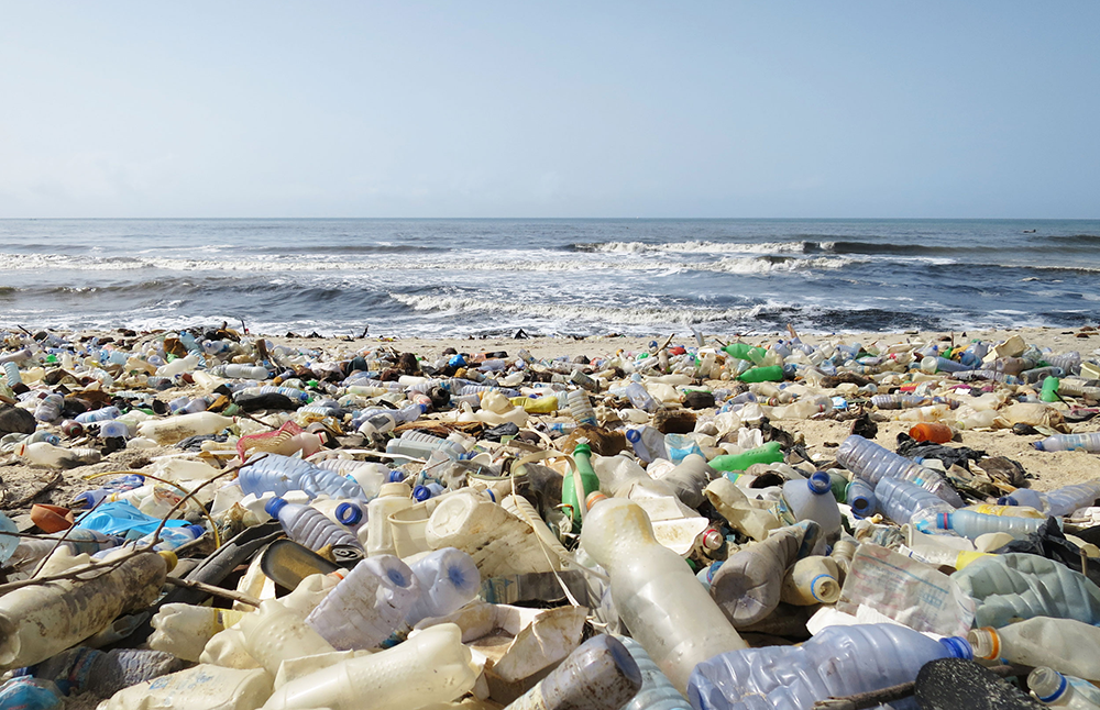 海のプラごみの99％が行方不明という困った問題 保坂直紀- エキスパート - Yahoo!ニュース