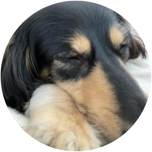 犬の食器がぬめる原因とは？ヌルヌルを洗い落とす方法水と健康の情報メディアトリム・ミズラボ - 日本トリム