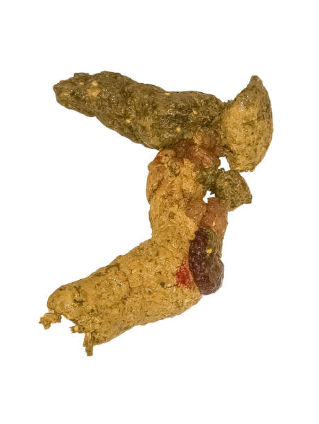 スタンドに置かれた本物のうんちは幸運を祈る、ヒッピーへのクレイジーで珍しいアートギフト、奇妙で面白くて楽しい、幸せを祈るギフト、良い雰囲気、幸せなうんち、良いエネルギー- Etsy 日本