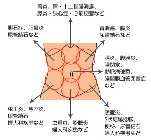 腹部のフィジカルアセスメント第2弾は打診と触診！解剖生理を理解して実践しよう 看護師はやの勉強ノート vol.20 更新しました！ヽ ・∀・ ノよければ見てください😊✨看護師 看護師の勉強垢 レバウェル看護