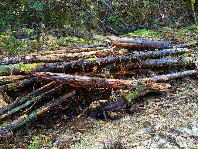 古い腐った木が粉々に砕けたの写真素材・画像素材 Image 165989038