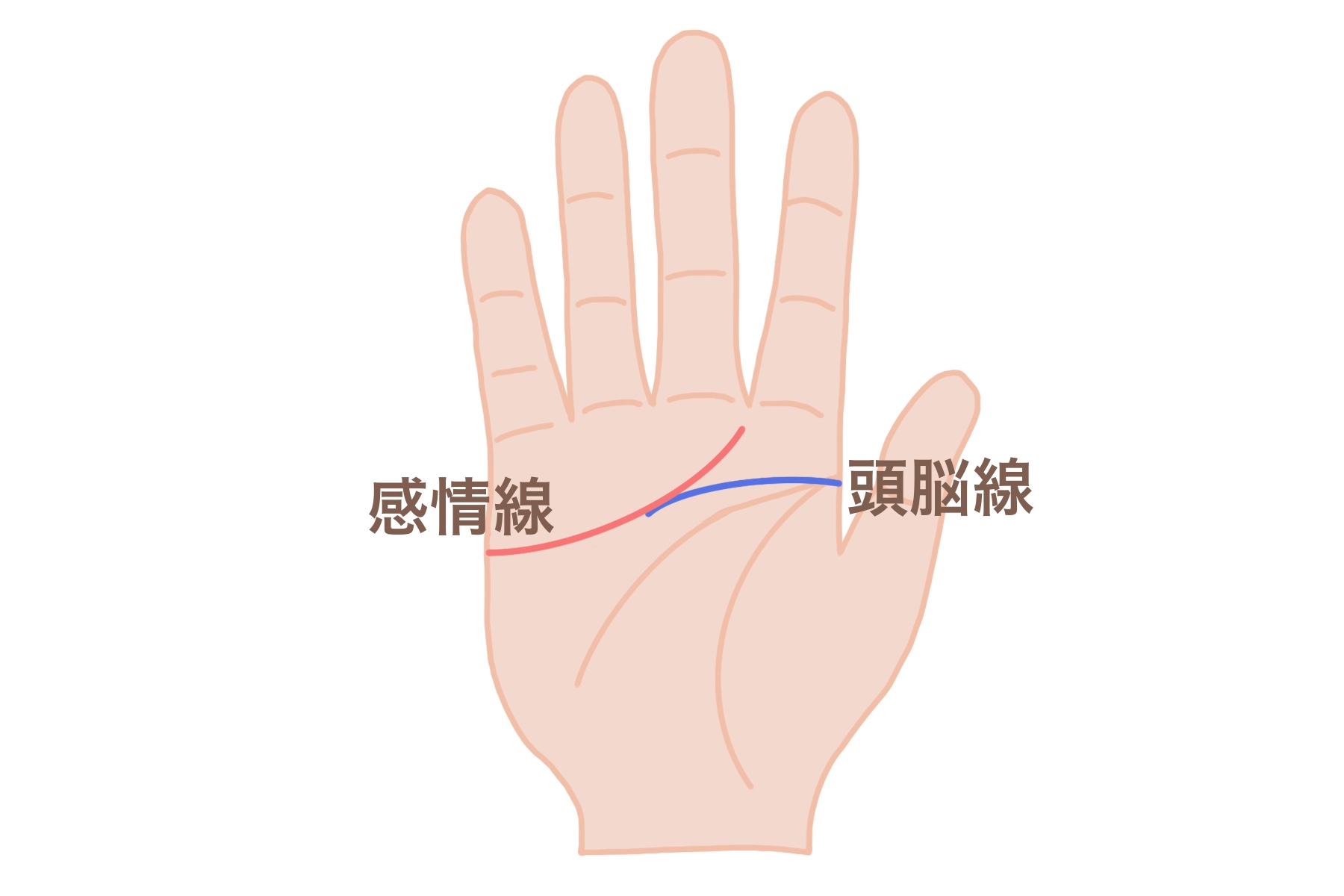 知能線が切れてる手相は突然別人に！思考が180度変化！するかも - 手相LABO 星健太郎 Hoshi