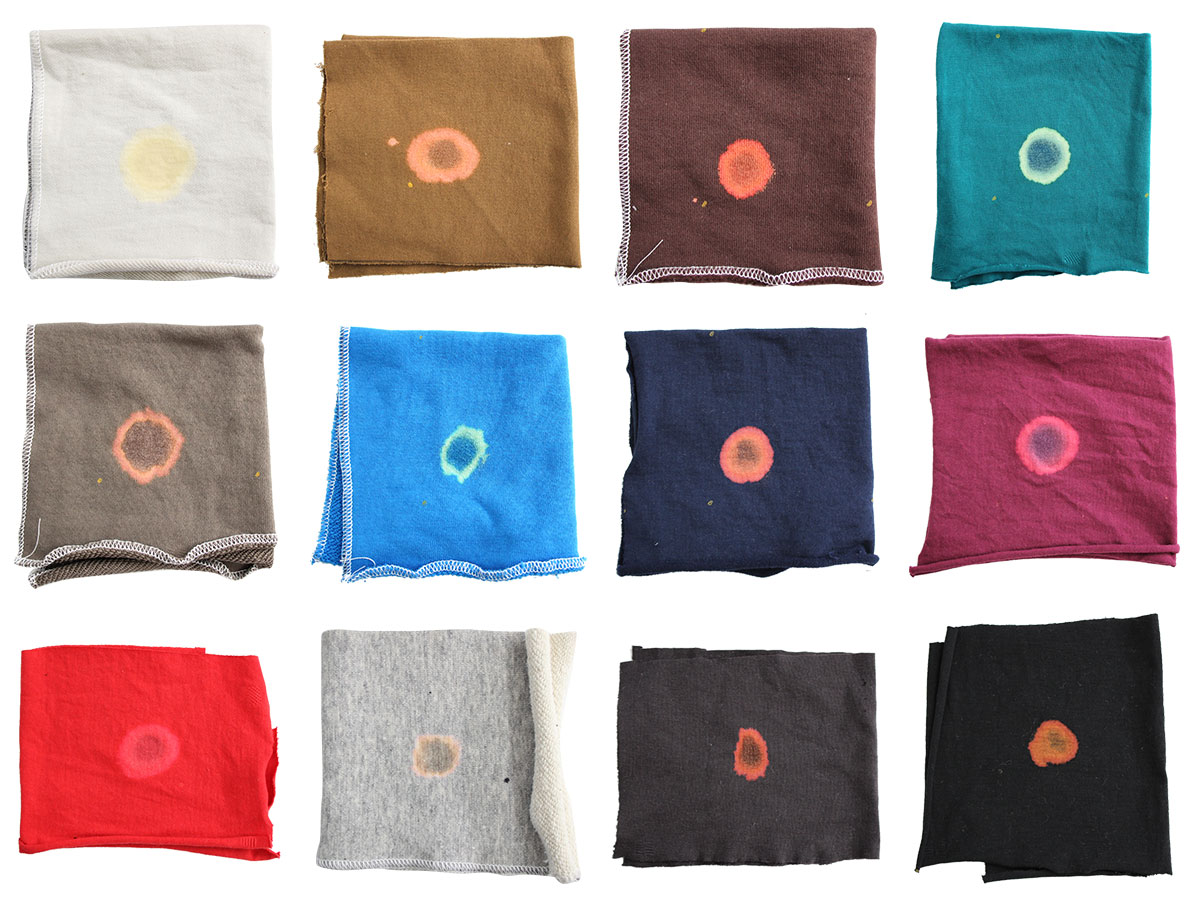 ホワイトカラー何日持つTikTok