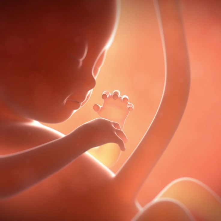 21日迄特価 海外作家 刻印あり 新生児へその緒ベビー リボーンドール 創作人形 ぬいぐるみ