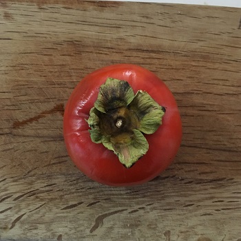 イタリアでの柿の食べ方 期待できる効果効能について イタリア料理教室 東京都小平市マクロ美イタリアン イタリア料理とマクロビオティック融合整うエネルギー イタリア料理教室 IL Fiore