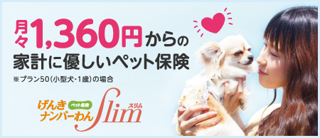 手作りおやつ あんみつ社会福祉法人 崇徳会 高齢者総合ケアセンター マザーアース