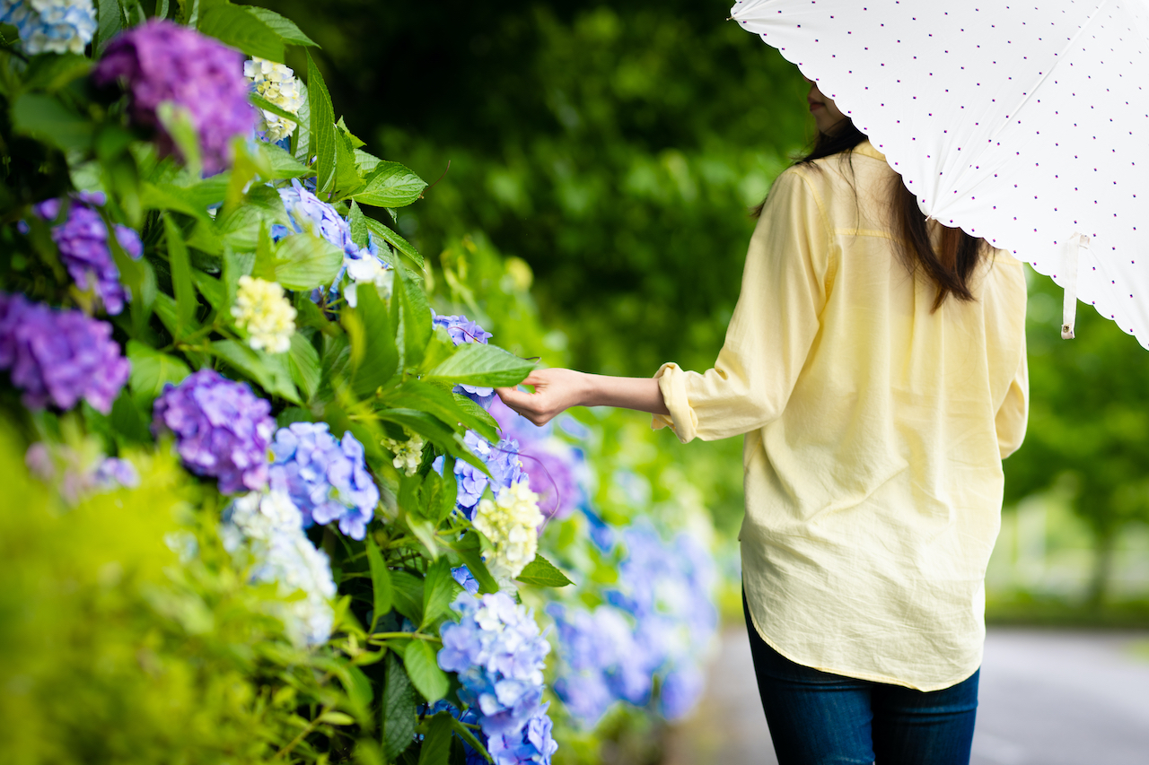 心に効く言葉：雨の日を楽しむヒント