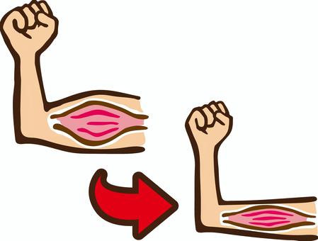 たんぱく質のお話 – ライフサポート