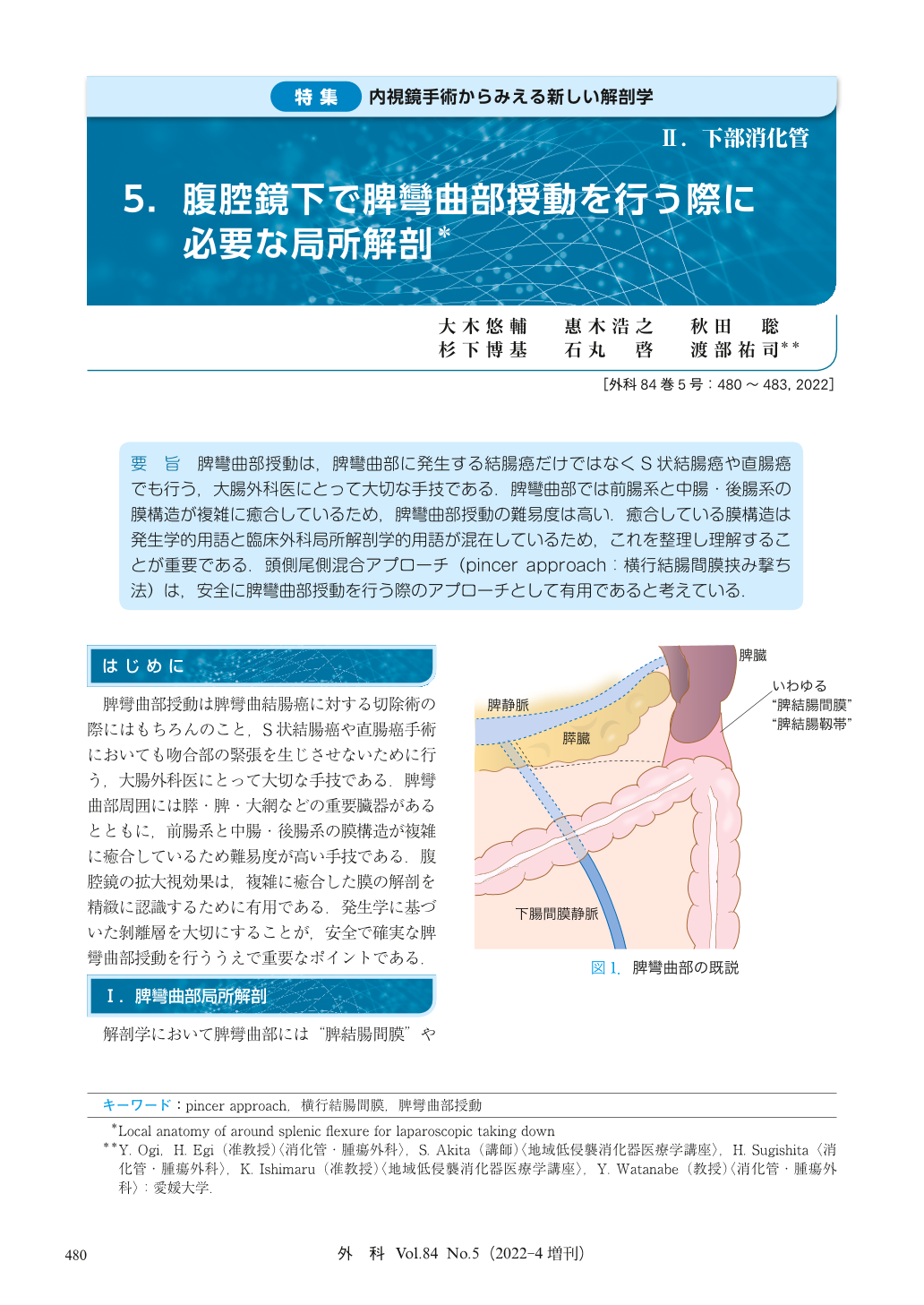 脾臓の内部構造 – 赤脾髄と白脾髄徹底的解剖学 かずひろ先生 解剖学