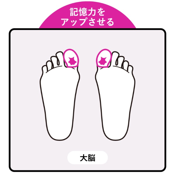 １日完結講習 東洋式足裏マッサージ資格 足裏～ふくらはぎ篇東洋式台湾式リフレクソロジーメディックス ボディバランスアカデミーアロマセラピ−フェイシャル１日講座スクール東京御茶ノ水学校 淡路町駅、小川町駅、新御茶ノ水駅周辺 グッドスクール