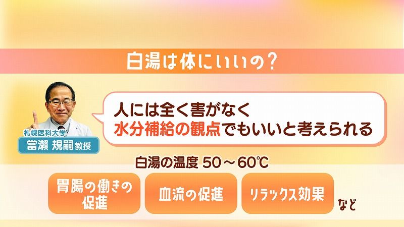 ラーメンを年間500杯食べる男が選ぶ2024年の 鶏白湯＆ニボニボ＆MIX系 BEST10東京ラーメンタル