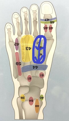 足つぼを刺激すると痛い理由は？部位別の不調のサインや効果を解説日本インストラクター技術協会 JIA