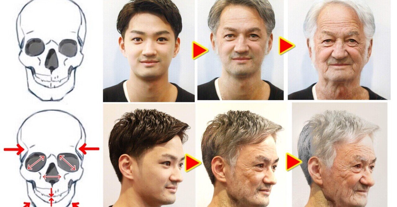 お顔の老化の原因は頭蓋骨にアリ❓❗️