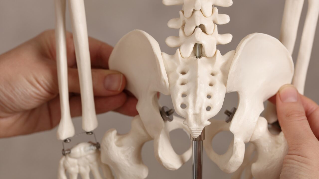 男性のための猫背改善ガイド：姿勢矯正で理想のスタイルを手に入れる方法 - Oscar オスカ