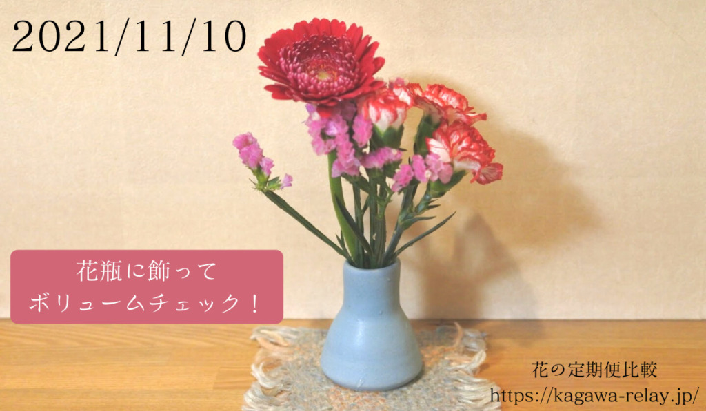 ブルーミー bloomee 実体験レビュー 口コミ・評判も調査。お花が初めての方におすすめ。半自然空間