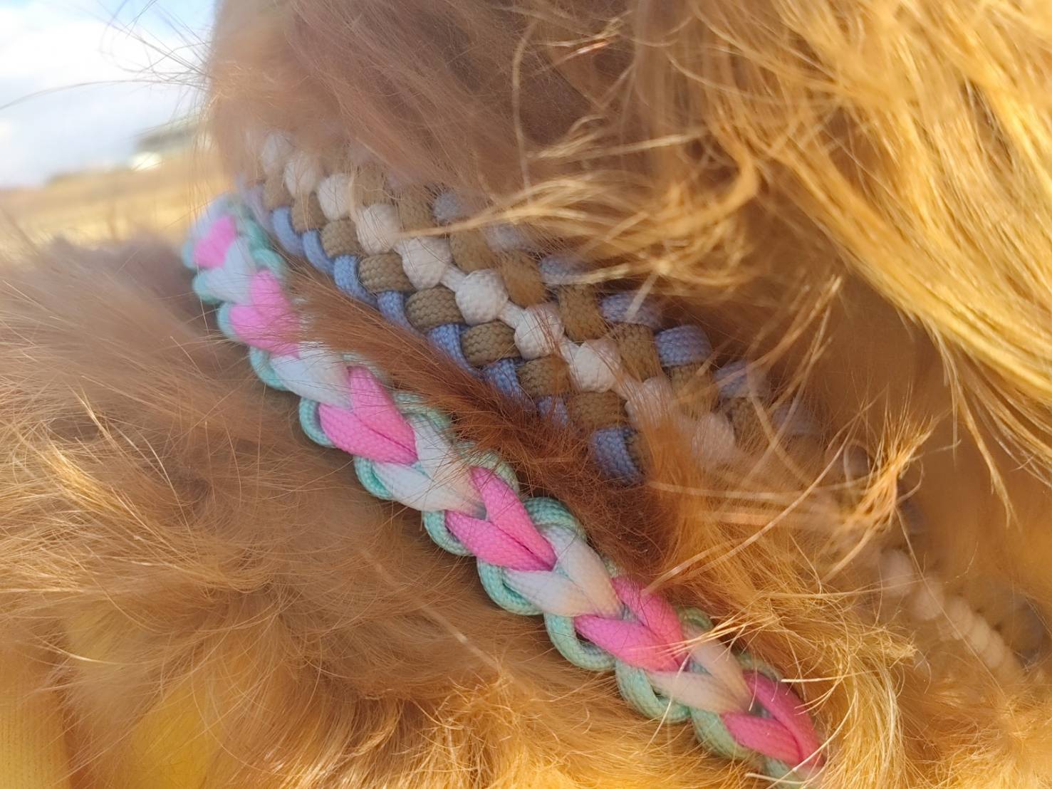 ペット用品 🍎 アップルカラーのカフェリード ♥️ 〜ハート編み〜 パラコード ハンドメイド 長さ103㎝ ☆ オーダー製作致します^ ^♡ -メルカリ