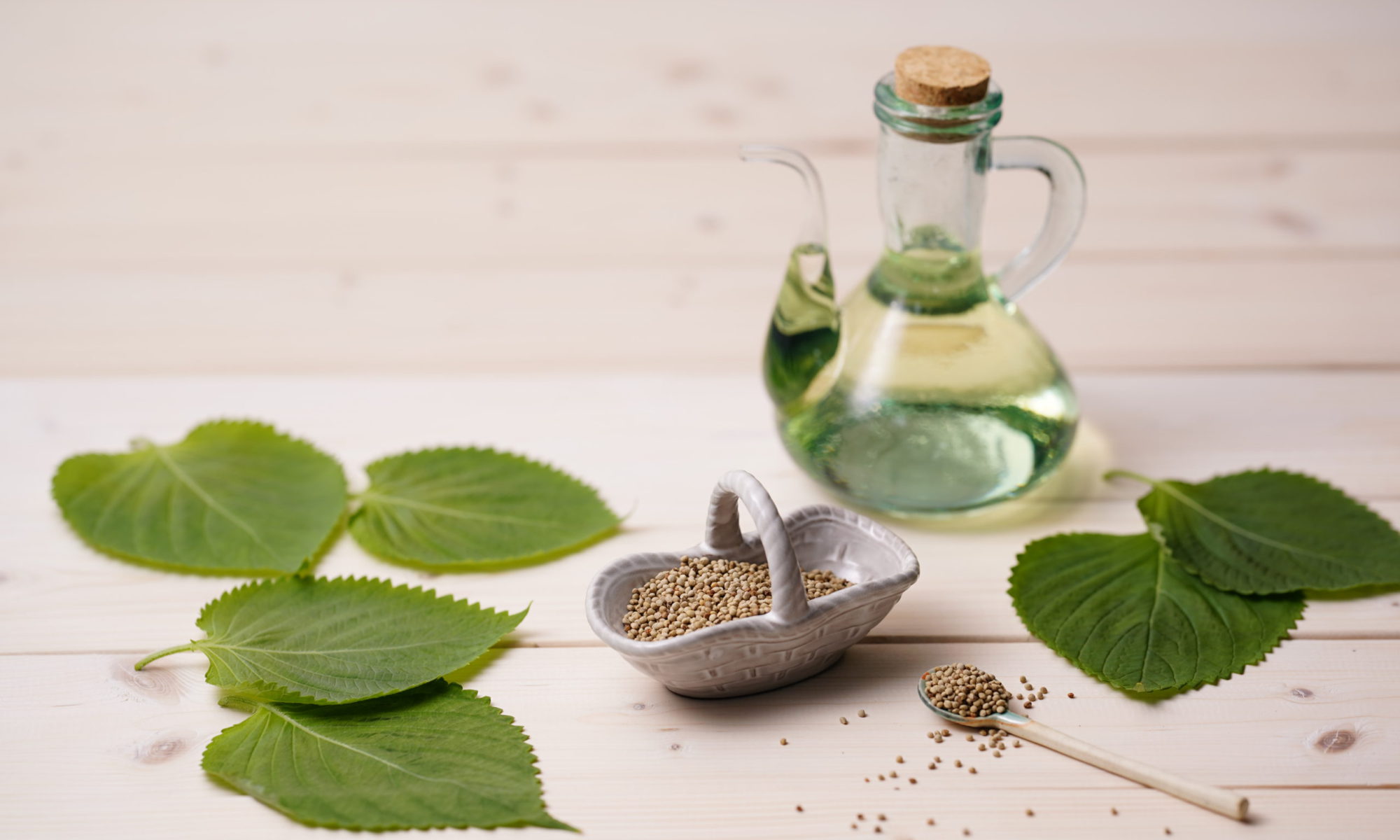 スーパーで買える安全なサラダ油の選び方 オススメも紹介オーガニックと有機食材のための健康メディア ZYM ORGANIC