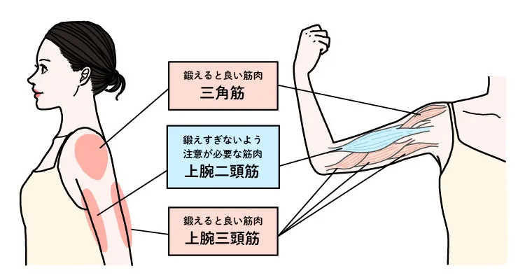 8分座ったまま二の腕と背中がみるみる引き締まるトレーニング