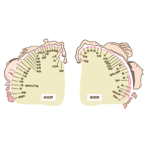 日本学術会議_おもしろ情報館
