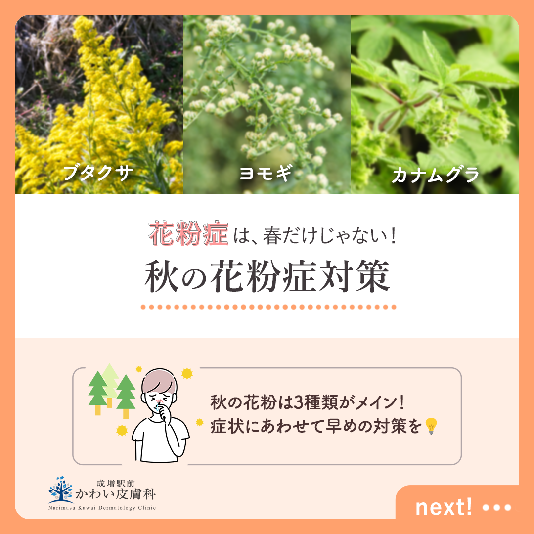 花粉症は、春だけじゃない！～秋の花粉症対策 - 板橋区成増駅前かわい皮膚科