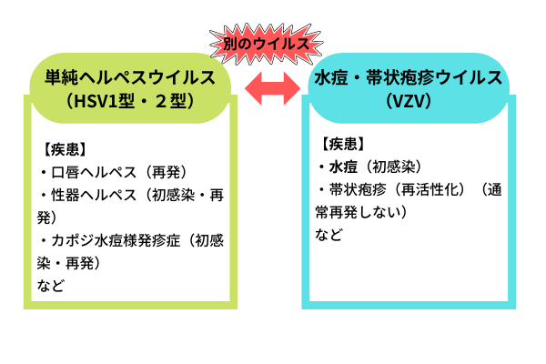 帯状疱疹はうつる？ 初期に現れる症状とワクチン接種で予防する大切さメディカルドック