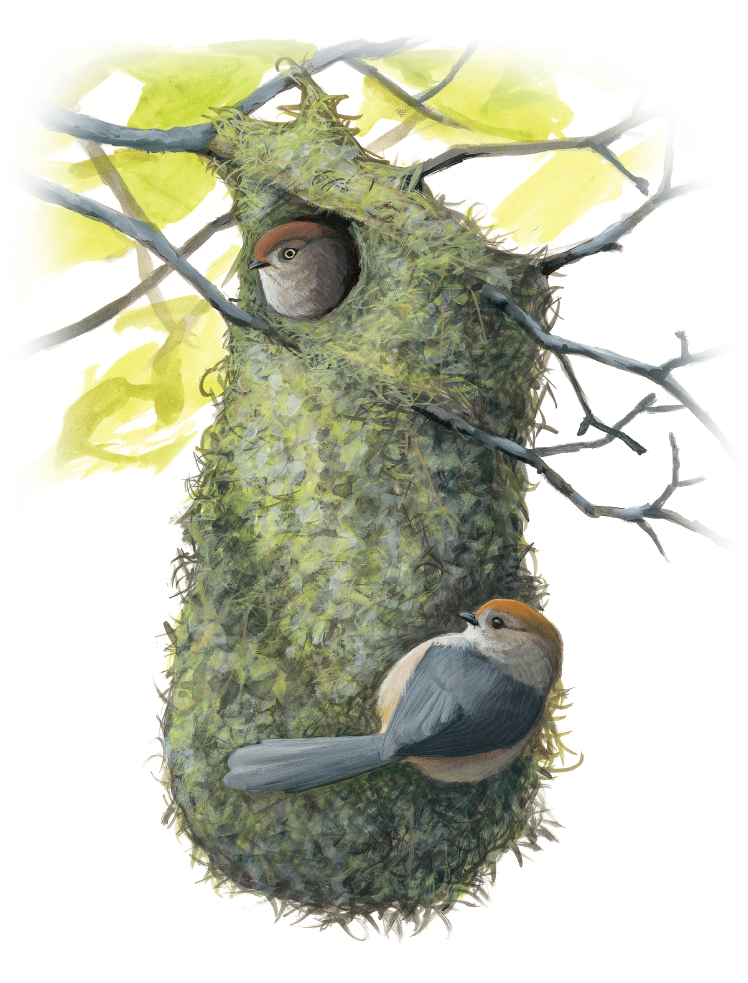 巣作り本能”が私にはない？赤ちゃんを迎える実感が湧いてきた日のこと ママスタ