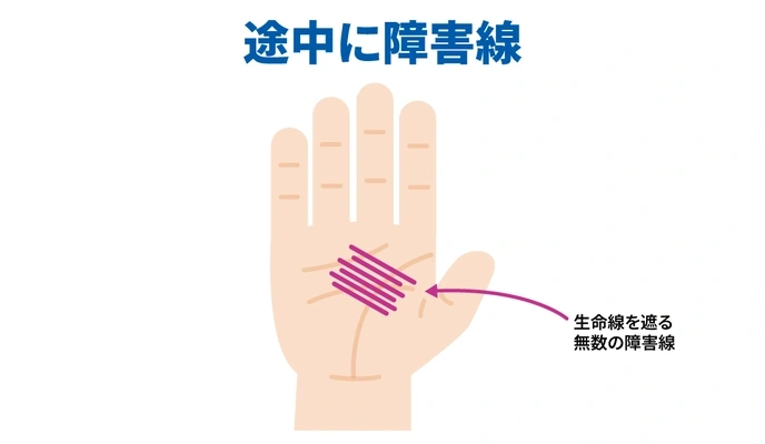 生命線の見方 長さ・形でわかる性格と寿命手相占い完全ガイド無料占いcoemi コエミ