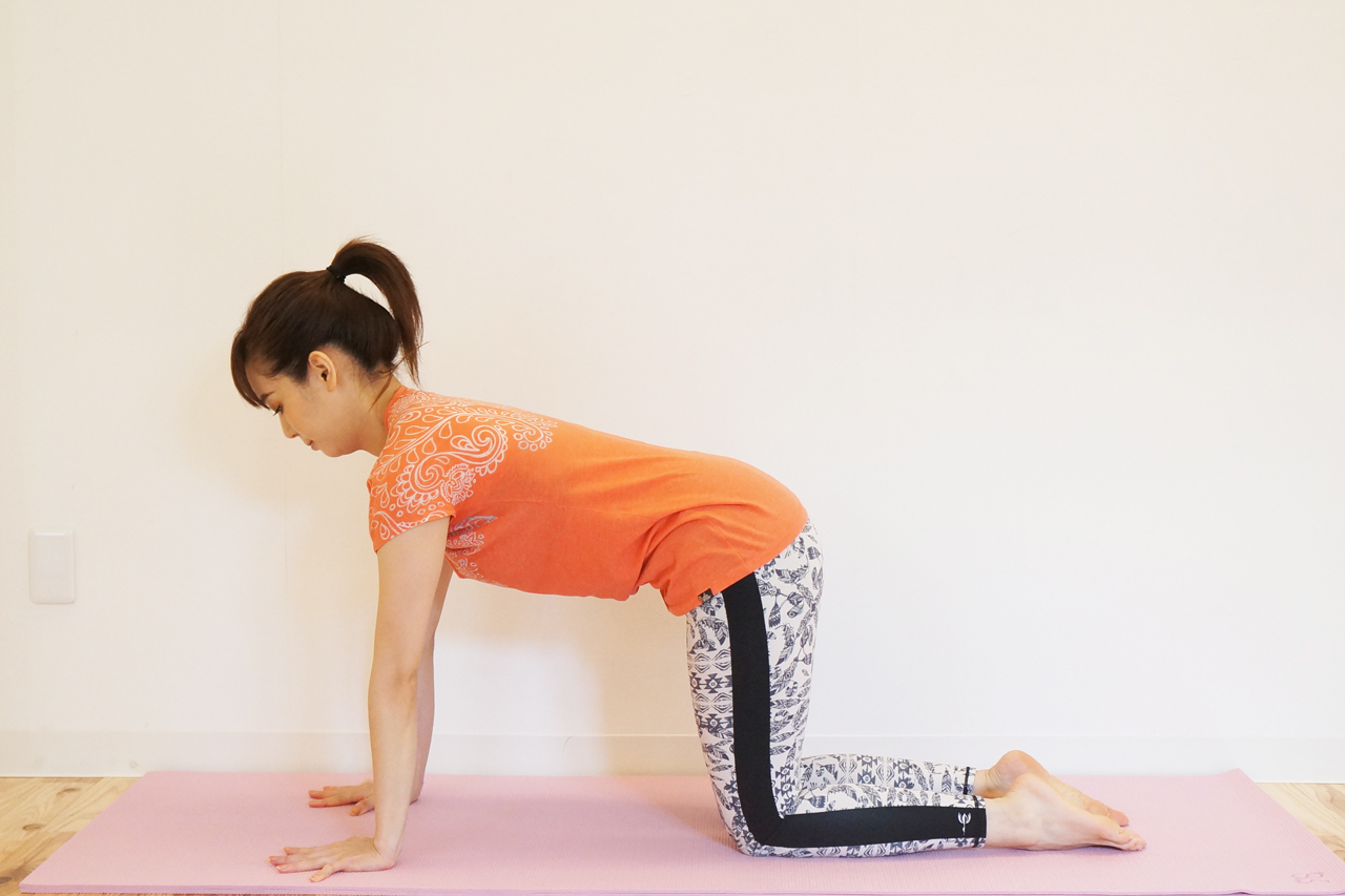 捻った三角のポーズ パリヴルッタトリコーナーサナ の効果と進め方TULA