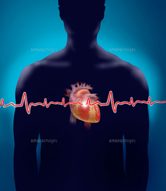 心電図のイラストかわいいフリー素材集 いらすとや