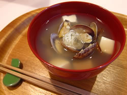 マットレスのカビ対策！湿気・健康リスクの防止とカビ発生時の対処法 – ミネルヴァスリープ