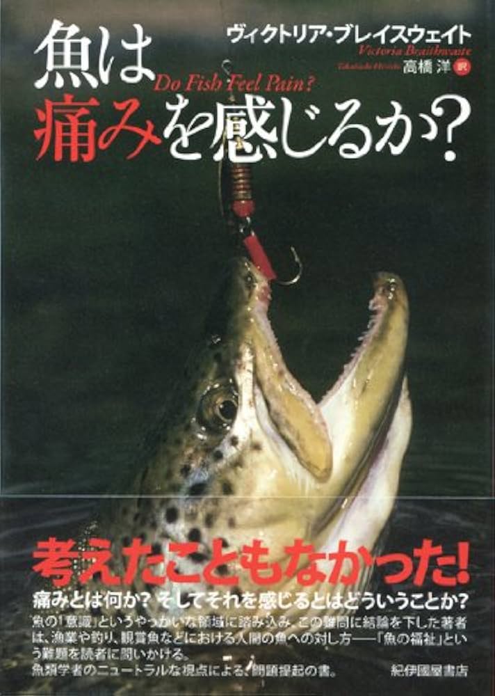 眉毛を押すと痛い！？ 眼精疲労に効く、魚腰のツボ押し効果とは。ぽよんちょおじさんのエエ事おしえたる