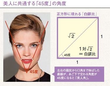 理想の顔のバランス 白銀比が人気？美容外科提携 ラグラン銀座メディカルエステ 高輪