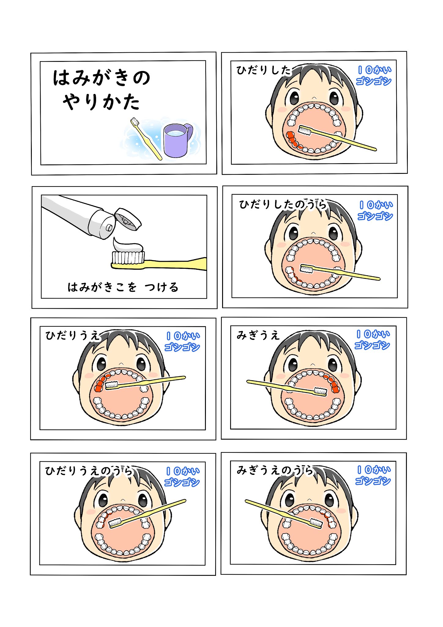 正しい歯のみがき方歯の健康基礎知識ライオン