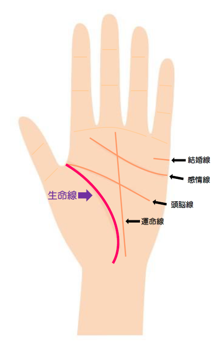 くっきり線と複数線 手相は線の濃さで意味が違う！ビューティー、ファッション、エンタメ、占い 最新情報を毎日更新ananweb