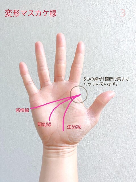 手相 頭の良い人にある２つの才能 二重頭脳線ウラスピナビ