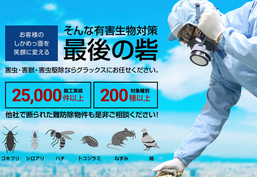 Amazon.co.jp: GiDORAX ギドラクス 害虫駆除スプレー 480ml 虫 駆除 対策 虫除け スプレー 害虫駆除剤 害虫用 屋内 屋外兼用 : ドラッグストア