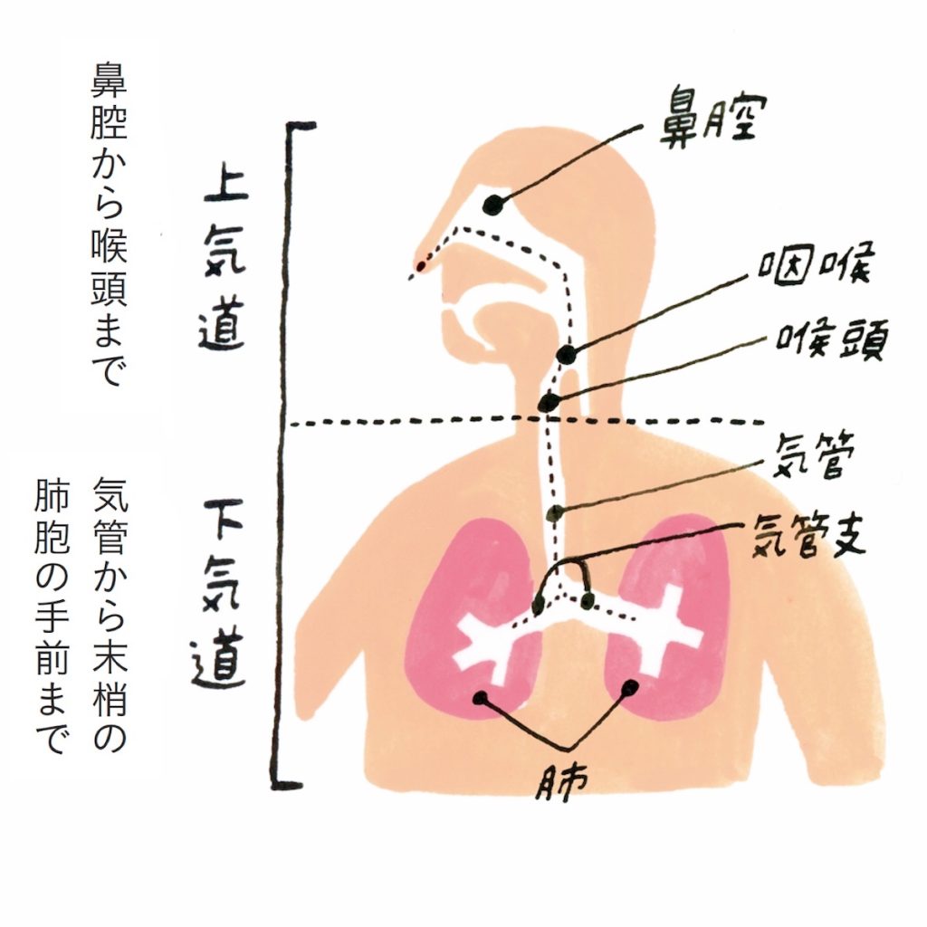 知っているようで案外知らない”風邪”実は病名ではない