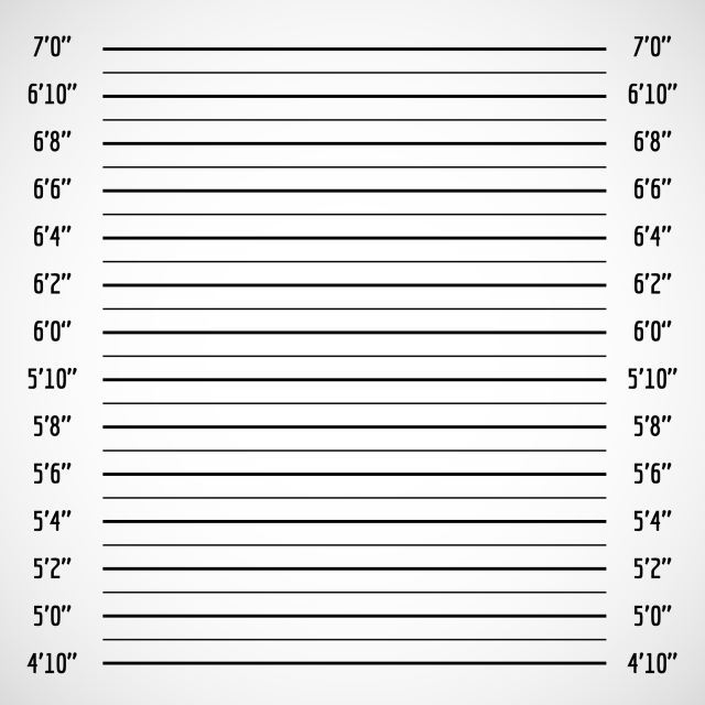 日本人の平均身長＆平均頭身 １１歳～１５歳＋成人 - CLIP STUDIO ASSETS