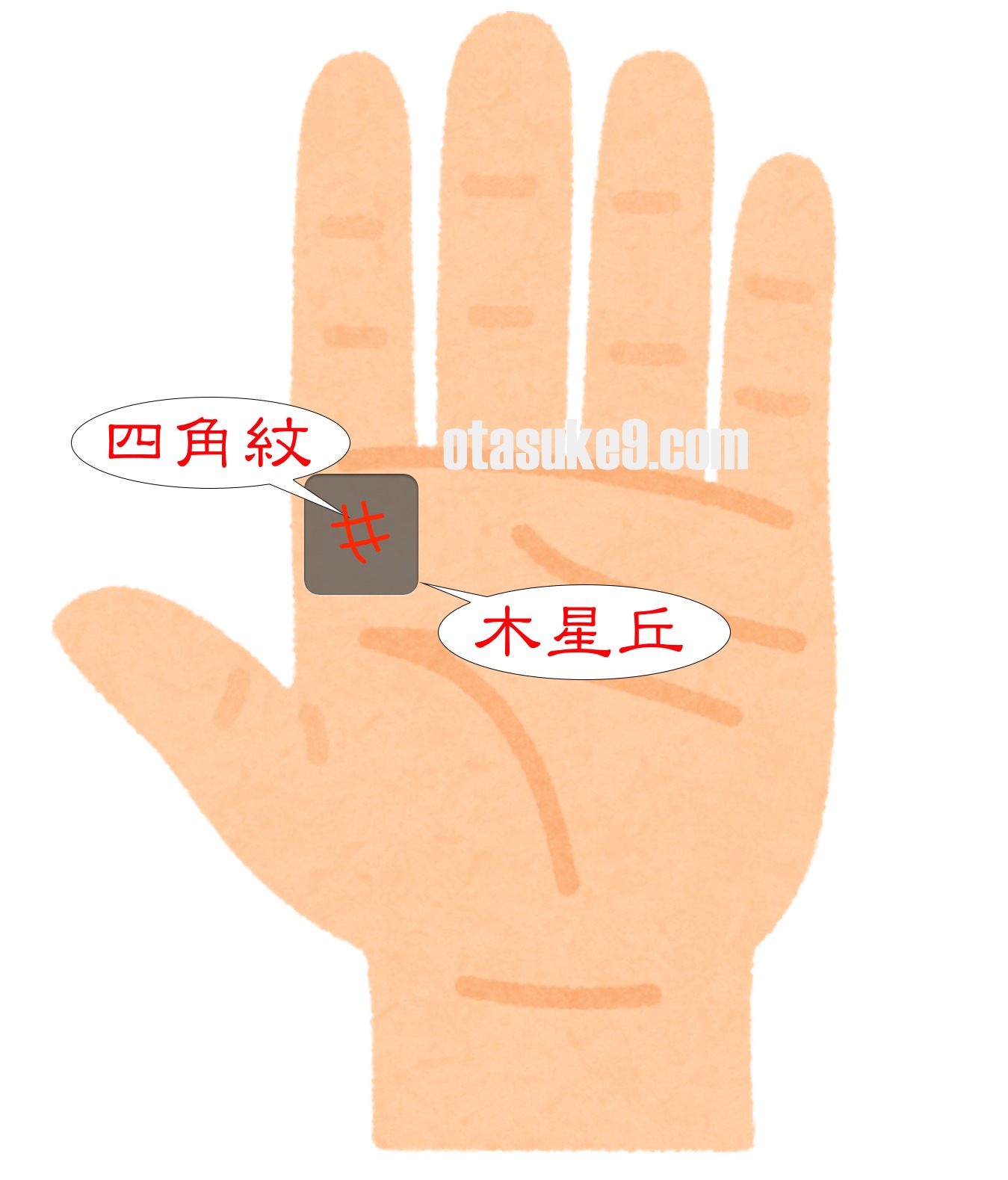 四角型-手相占い無料占いcoemi コエミ