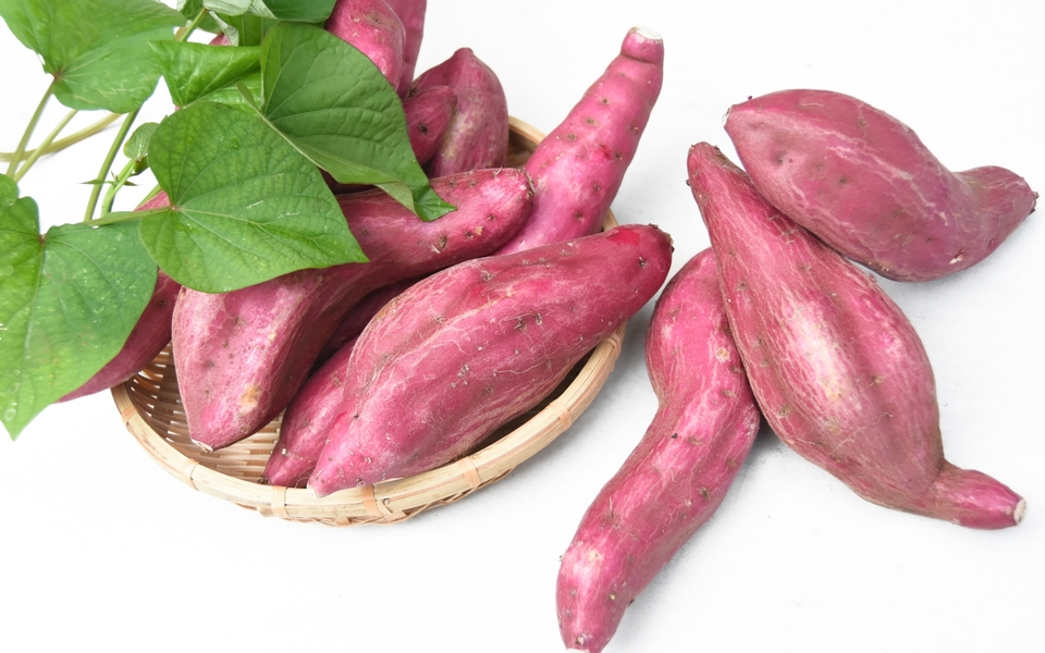 ドローン大活躍！美味しいサツマイモを病気と虫から守る話！ – DS・J ドローンスクールジャパン