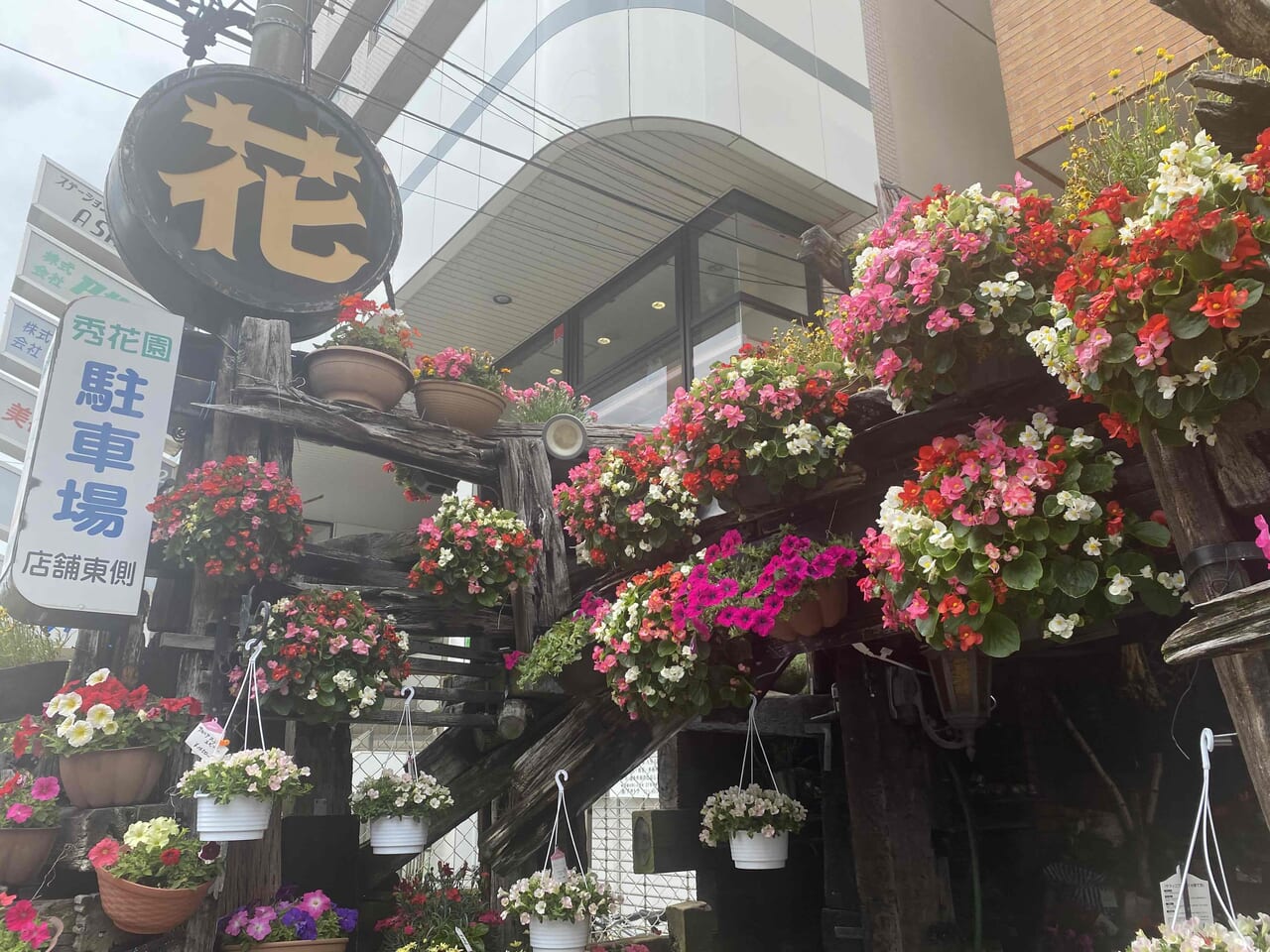 岩手県盛岡市の花屋 ほそかわ花店のお花詳細にフラワーギフトはお任せください。｜当店は、安心と信頼の花キューピット加盟店です。｜花キューピットタウン