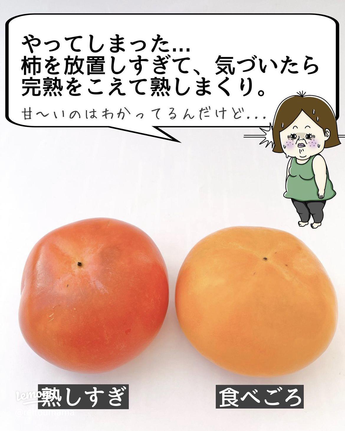 固くなった干し柿を柔らかくするその1