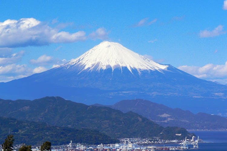 ホテルマイステイズ清水 宿泊予約【楽天トラベル】