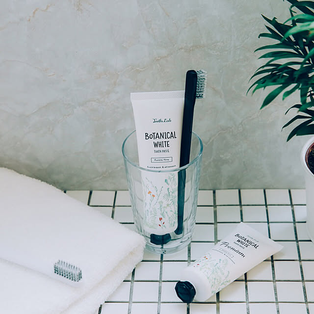 楽天市場 歯磨き粉 歯ブラシスタンド・ホルダーデンタルケア ：ダイエット・健康の通販