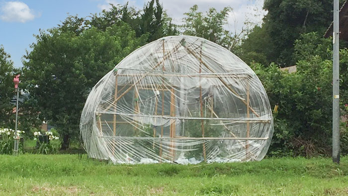 簡単！100均で作るビニール温室 - tachamama's blog