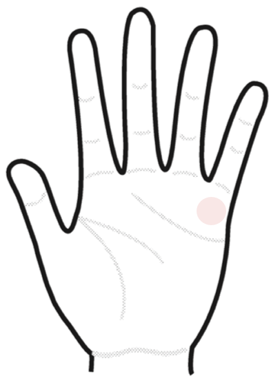 TWICE：星ひとみが驚く手相の持ち主、「J.Y. Parkと同じ気」を持つメンバーも 「占ってもいいですか？」にリモート出演 - 毎日キレイ