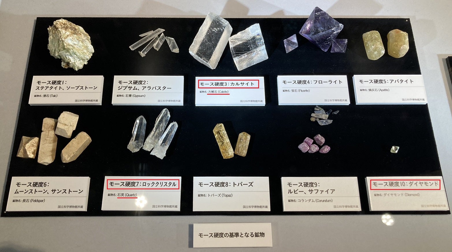 スカイブルートパーズdifferencee ディファレンシー 公式