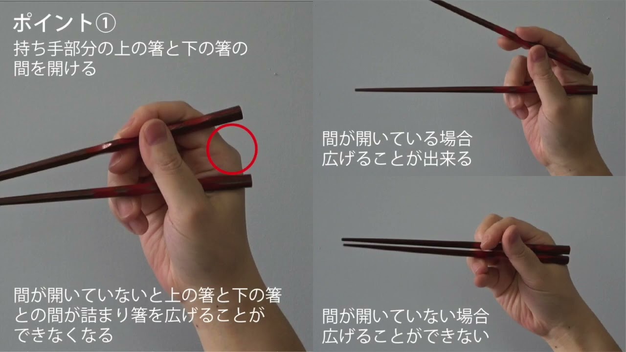 お箸の練習セット 保育園 幼稚園 おもちゃ・人形 ぴ☆ん 通販 9260911Creema クリーマ